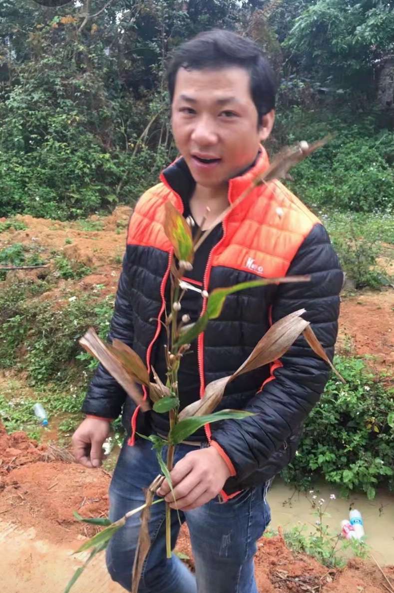 回来吧，我们都在等你 - 周斌唱