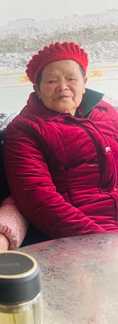 向朝珍、女、 74 岁，因本人老年痴呆，出走时身穿（向朝珍）- 重庆市重庆市寻人找人网络平台