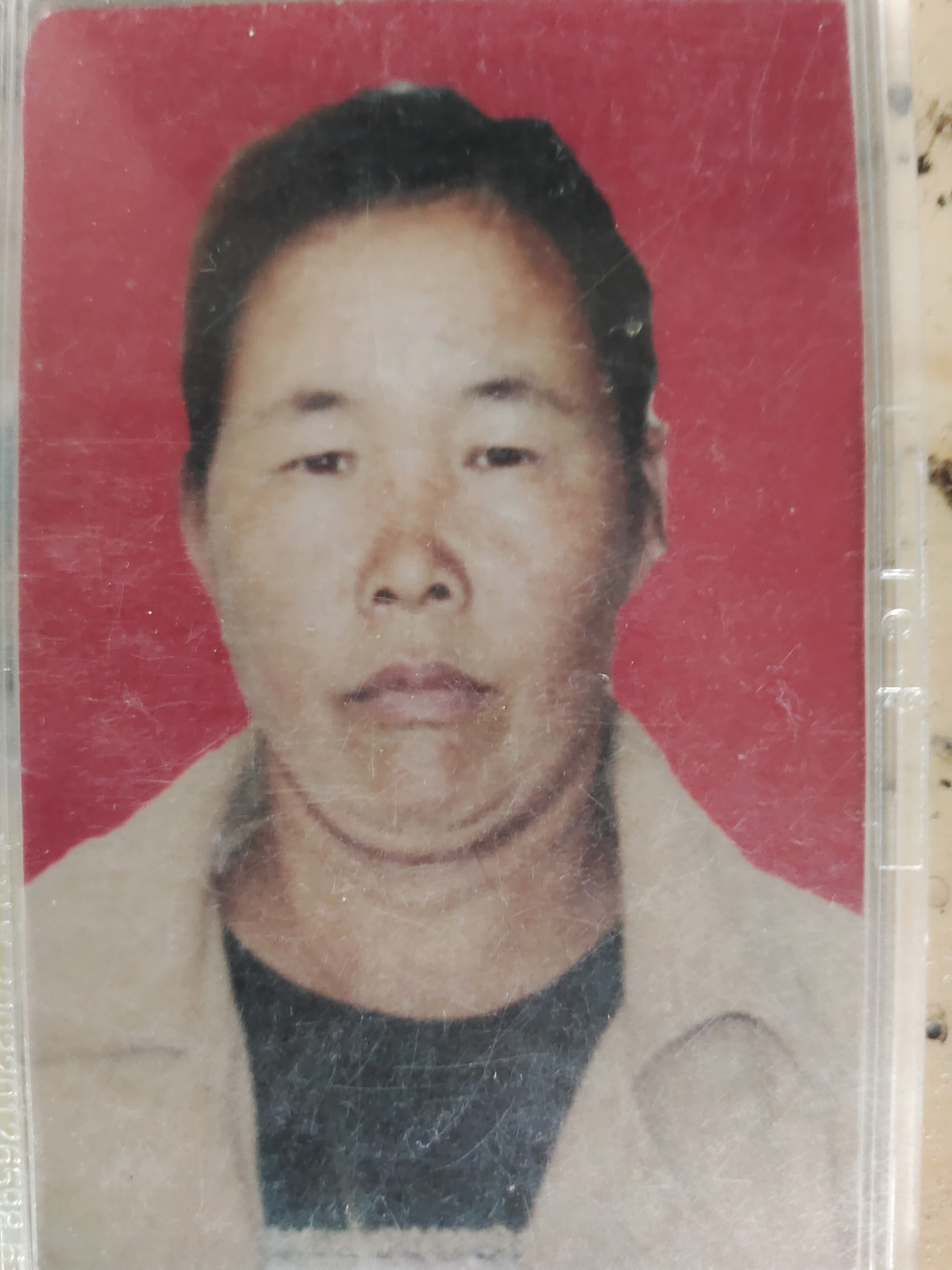 拜托各位好心人士帮帮我寻找母亲-仁玉兰