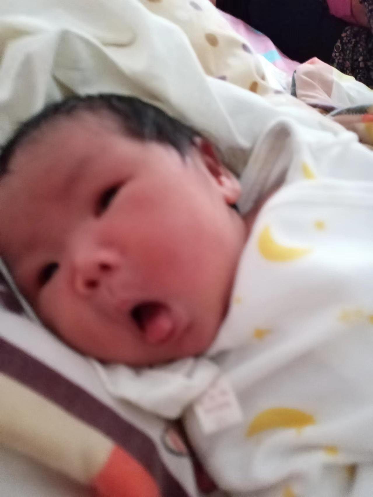 抱养孩子，给孩子上户口 - 张诗研