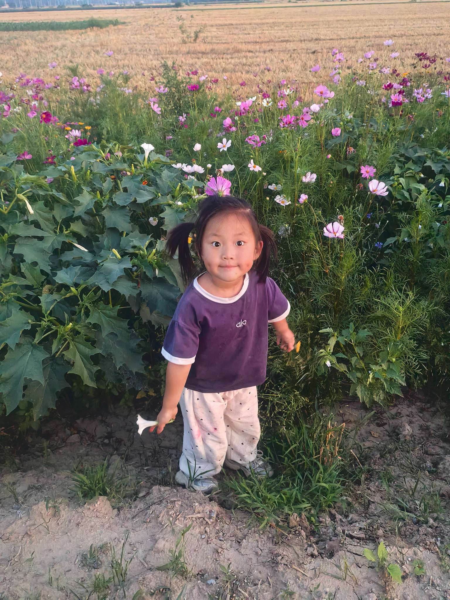 寻找父母亲 - 刘子萌