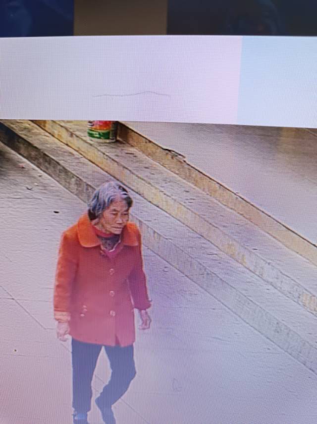 请帮助痴呆老人找到回家的路 - 詹细妹