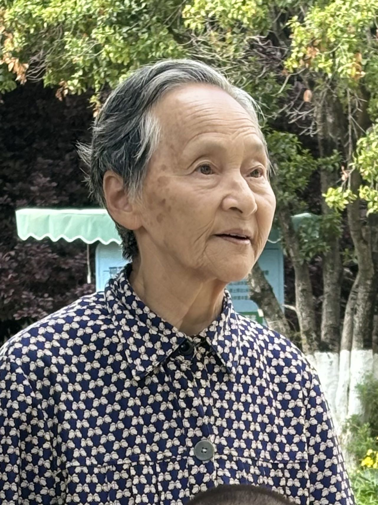 患有老年痴呆症的母亲走失，妈妈你在哪 - 文和兰