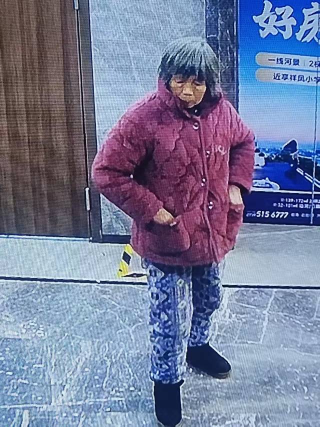 老母亲73岁患老年痴呆元旦走失求助好心人 - 孙中连