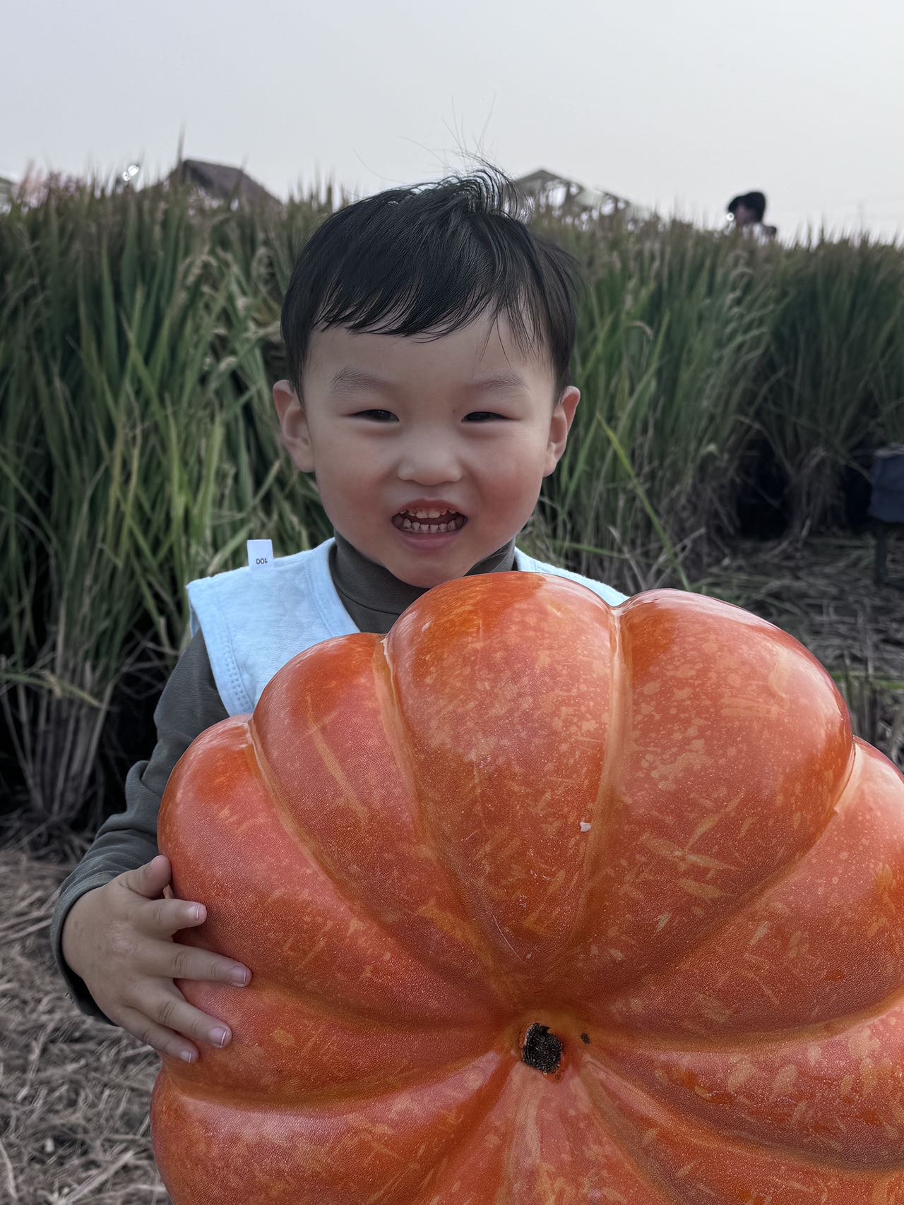 拜托大家帮帮忙寻找孩子的亲人 - 张择䎁