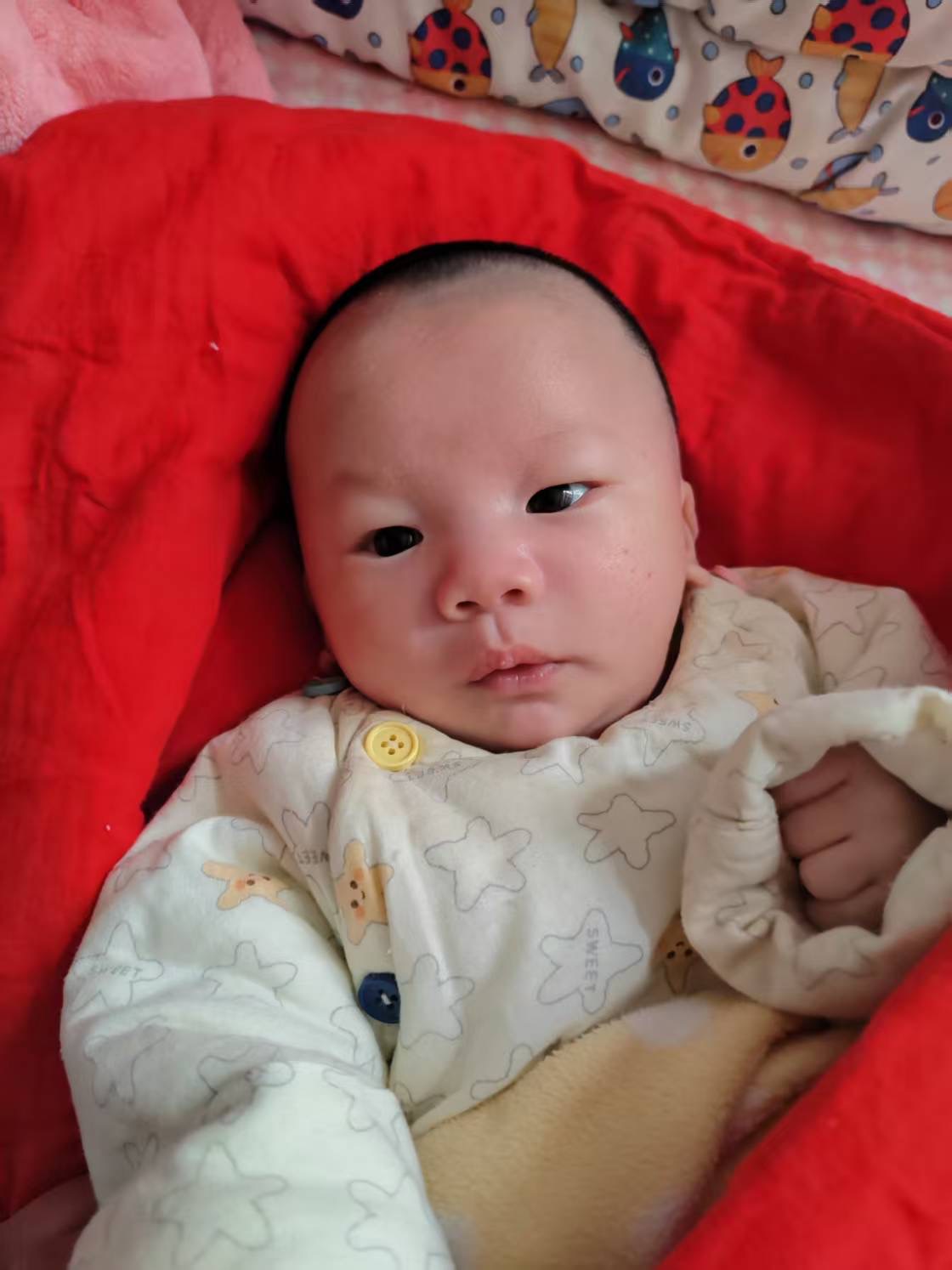弃婴寻找亲生父母 - 董凤鸣