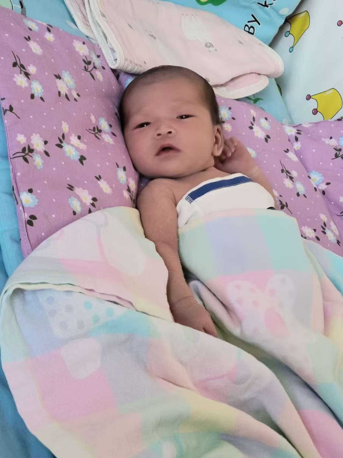 寻找父母 - 杨锦汐