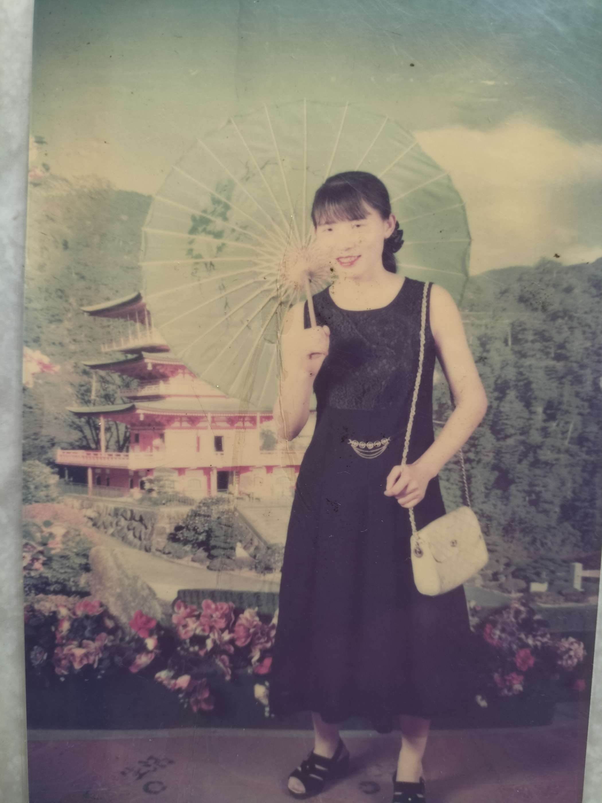 孤儿寻母谭赛娥 - 谭赛娥