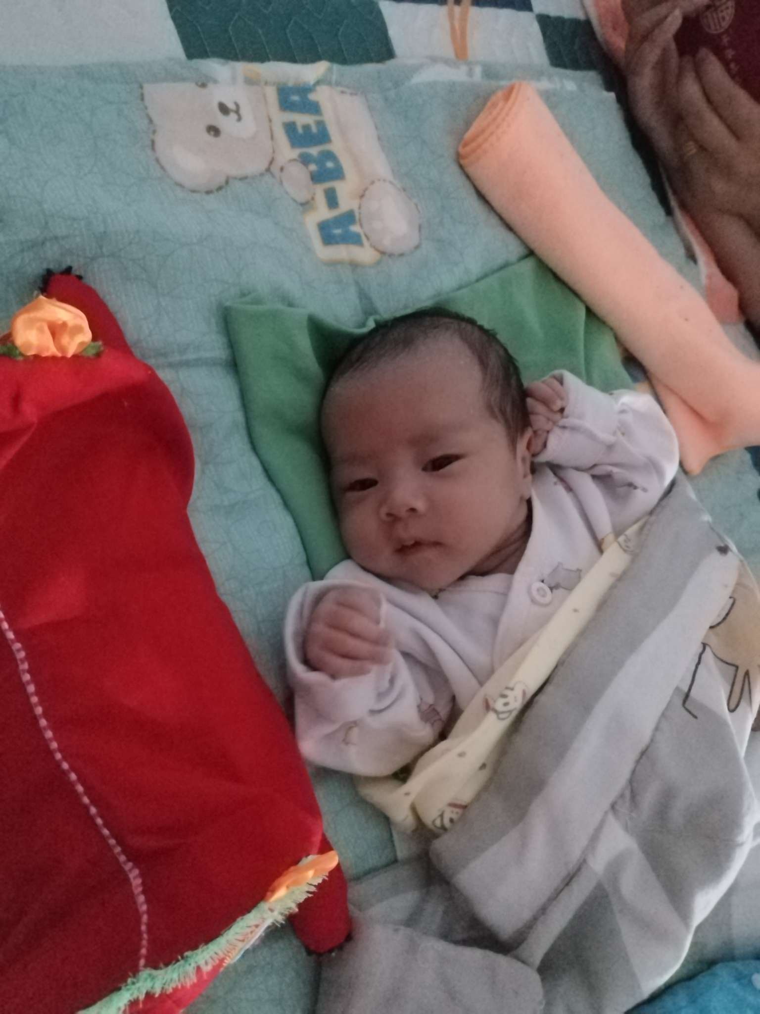 抱养一个男婴为他寻找家人 - 王茗铄
