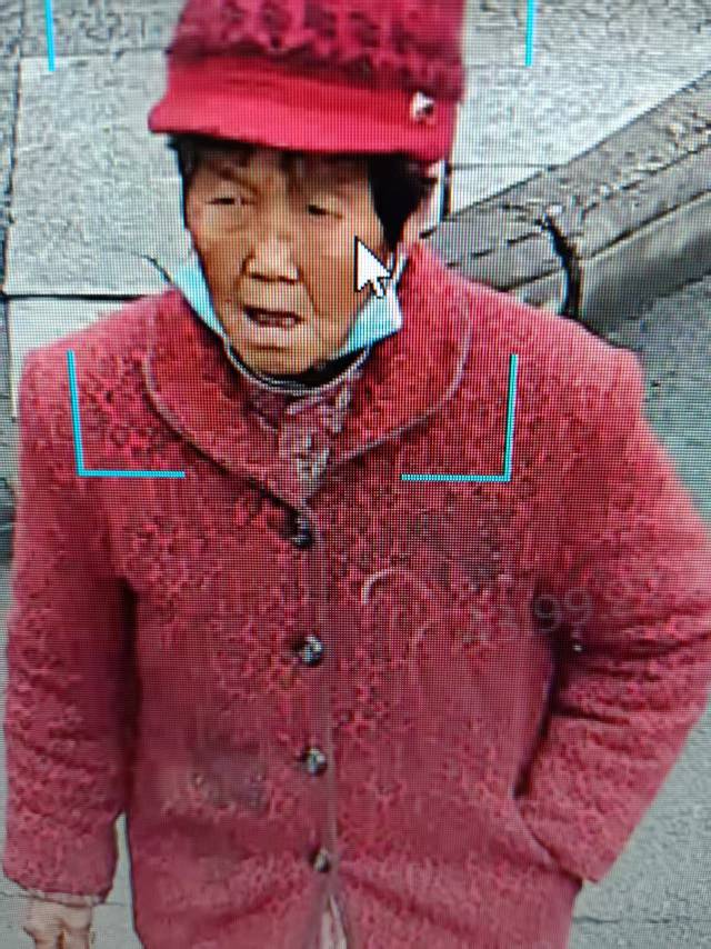 望看到的好心人协助报警或者暂时看护，万分感谢? - 潘瑞秀