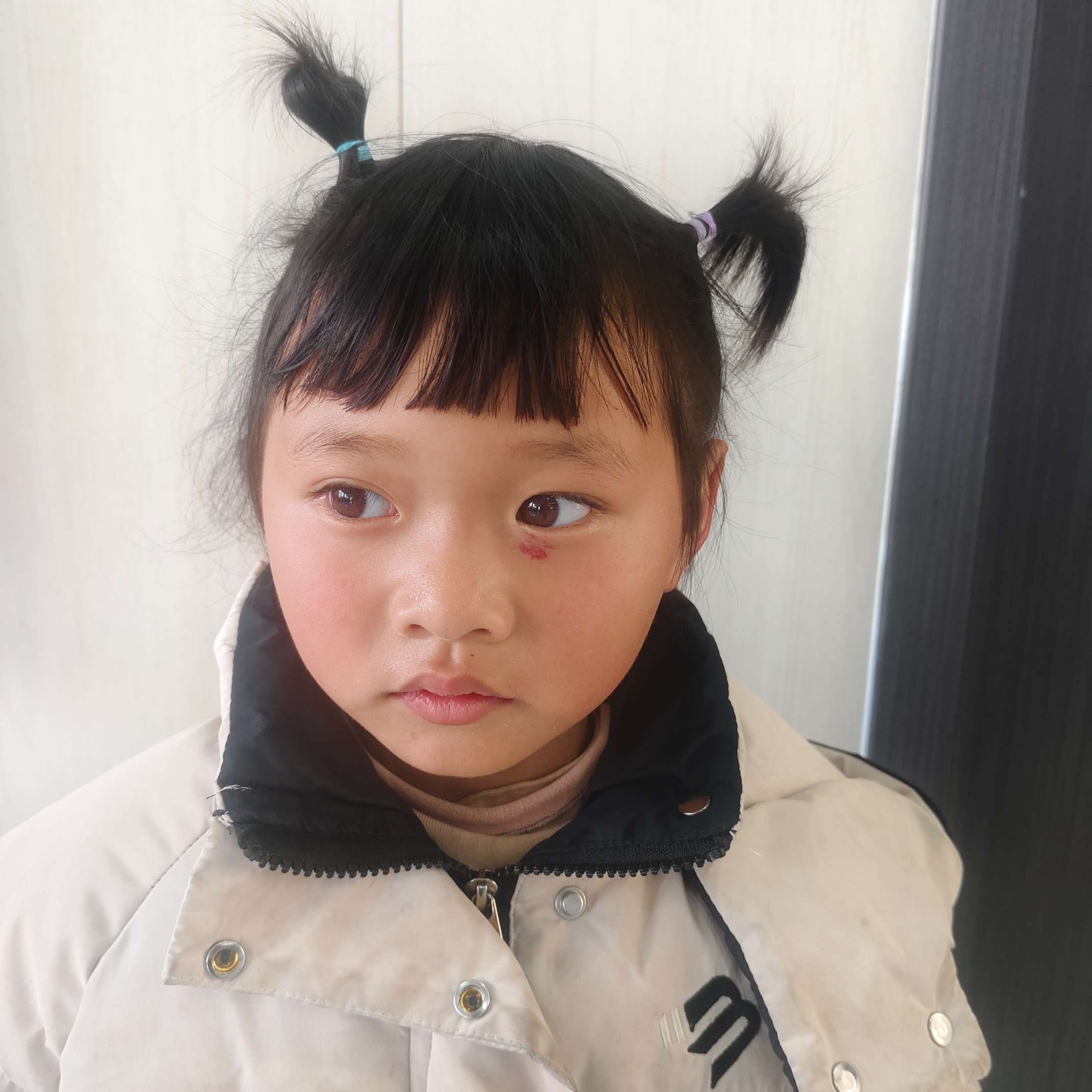 寻找父母 - 付善怡