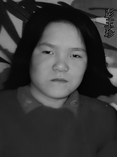 寻找的人是我的妈妈，走失二十多年了 - 彭玉珍