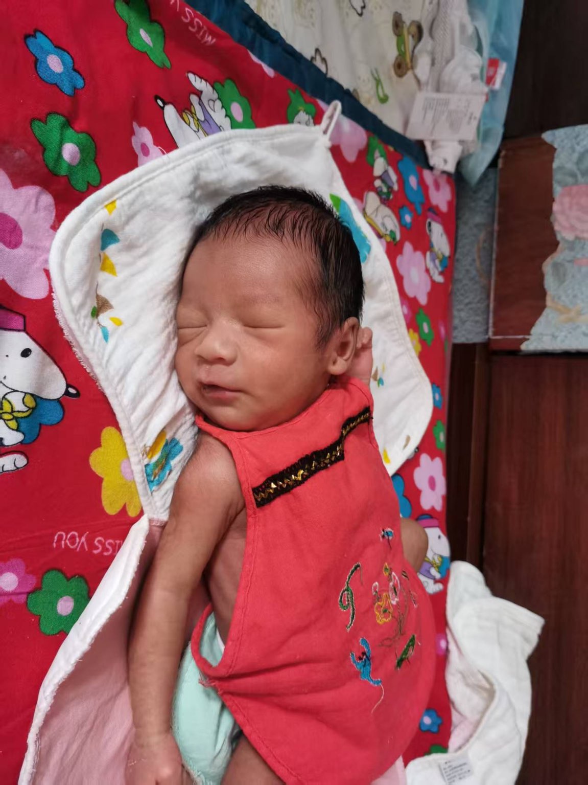 弃婴寻亲 - 泽泽