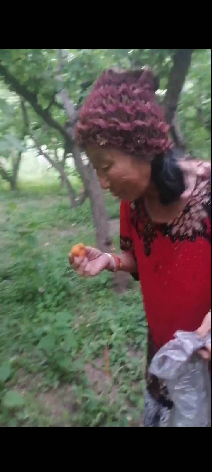 好心人们要是看见了与我联系，18231611427 - 林海玉