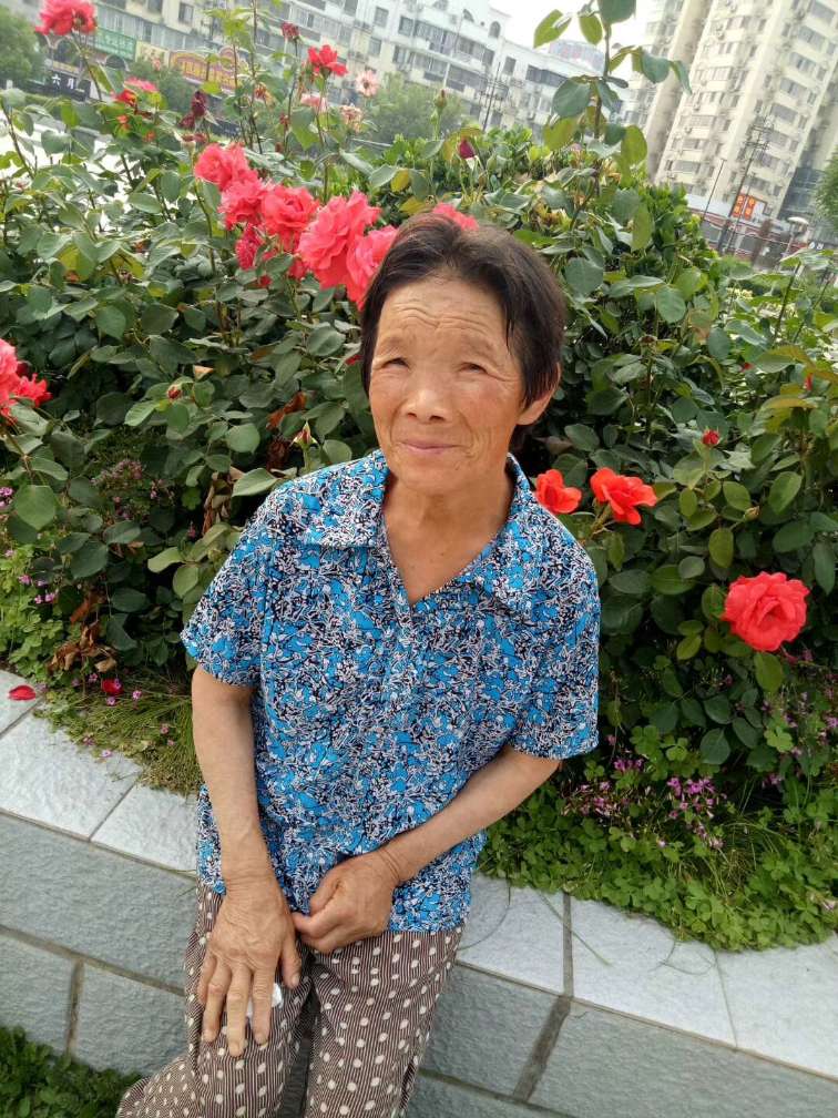 希望帮妈妈找到亲人以及兄弟姐妹 - 张玉