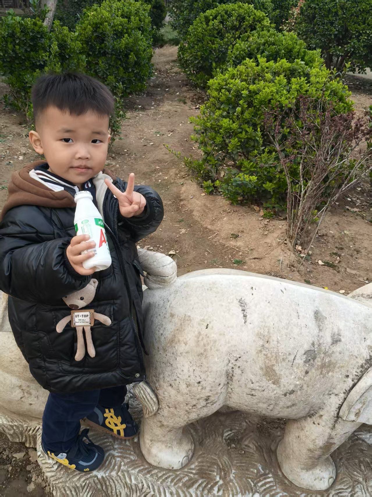 帮我寻找亲生父母 - 王金泊