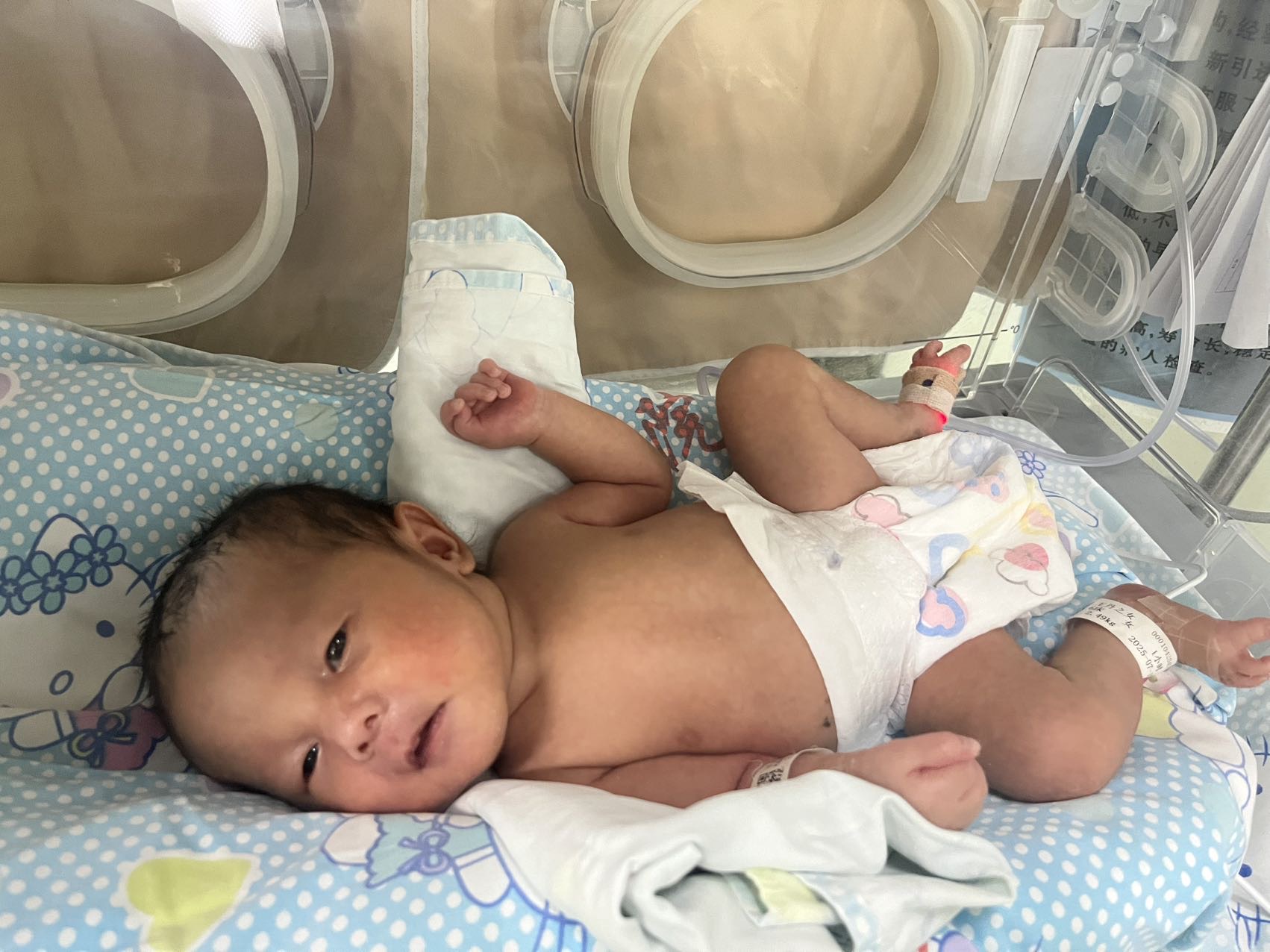 抱养孩子，给孩子上户口 - 郝愚梅