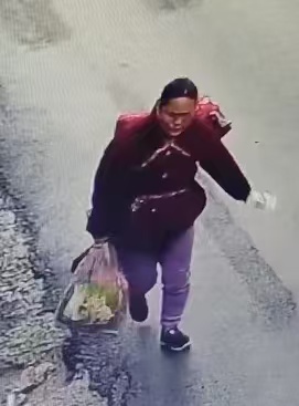 李美红 - 李美红