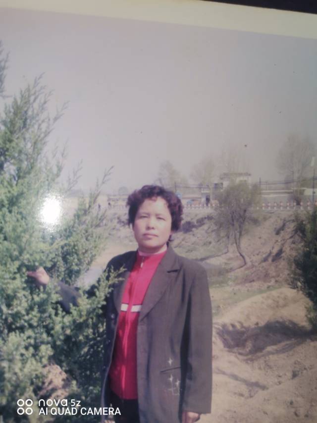 李月花 - 李月花